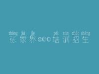 张家界seo培训招生_如何做关键词优化