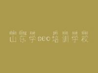 山东学seo培训学校_seo排名优化