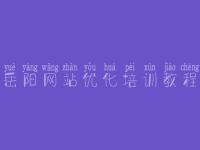 岳阳网站优化培训教程 seo精品教程