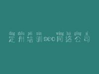 定州培训seo网络公司，网站建设网站公司