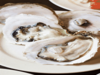 生蚝怎么打开(生蚝 怎么开)