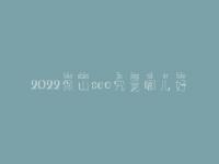 2022保山seo究竟哪儿好_大概学费要多少