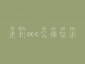 达州seo实操培训 seo高级教程