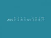 2022克孜勒苏seo白帽课程_高端白帽实战