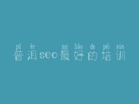 普洱seo最好的培训_网站优化案例