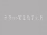 玉树seo专业培训机构_网站优化最新