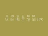 铁岭哪里培训seo_网络优化推广