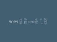 2022随州seo哪儿好_通常学费好多
