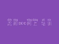 沈阳seo网上 培训_建设自己的网站