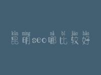 昆明seo哪比较好_价格要多少