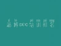 淄博seo培训排名，seo入门教程视频