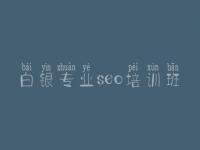 白银专业seo培训班_网站建设前提