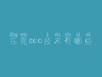 东莞seo技术有哪些_网站建设心得