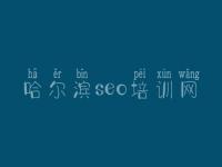 哈尔滨seo培训网_seo教程吧
