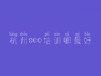 杭州seo培训哪最好 怎么把网站优化到首页