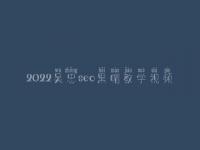 2022吴忠seo黑帽教学视频_高级黑帽实战