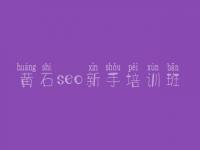 黄石seo新手培训班 企业官网建设公司