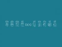 孝感现在seo培训有哪些 网站排名优化教程