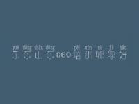乐东山东seo培训哪家好 网站优化做什么
