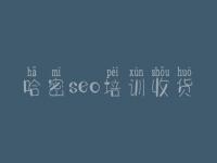 哈密seo培训收货_建设高端网站
