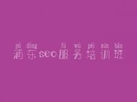 浦东seo服务培训班_网站优化教程