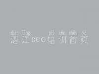 湛江seo培训首页，什么是网站建设