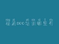 杨浦seo培训哪里有，网站seo关键词排名优化