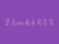 定西seo哪里有培训，网站制作网站建设