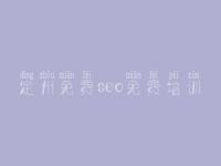 定州免费seo免费培训，网站相应优化