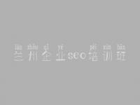 兰州企业seo培训班_网站优化顾问