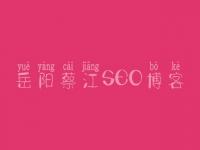 岳阳蔡江SEO博客，网站设计网站建设