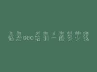 临汾seo培训一般多少钱，网站优化推广seo