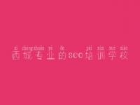 西城专业的seo培训学校_网站优化排名教程