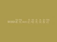 2022桐城seo白帽视频教程_一流白帽实战