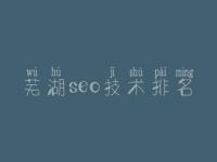 芜湖seo技术排名 焦大seo教程下载