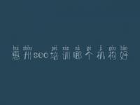 惠州seo培训哪个机构好_黑龙江网站建设