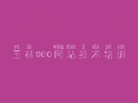 玉林seo网站技术培训_平台排名优化