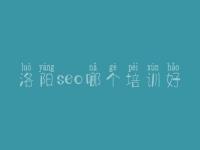 洛阳seo哪个培训好_专业网站建设公司