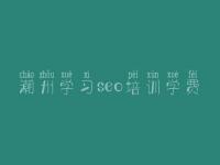 潮州学习seo培训学费_实用seo教程