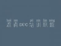 淮南seo培训联盟 哪个建设网站