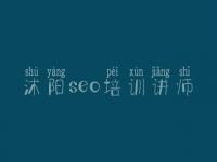 沭阳seo培训讲师，网站优化有哪些方式