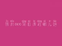 锦州seo项目课程哪儿好_seo工作好不好