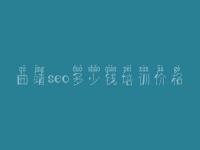 曲靖seo多少钱培训价格，广东网站优化培训