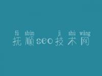 抚顺seo技术网 seo免费学习教程