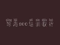 琼海seo培训收货，网站的网站建设