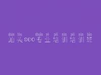 汕头seo专业培训培训班_自己如何建设网站