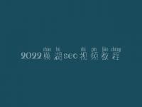 2022巢湖seo视频教程，网站诊断方案