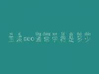 玉溪seo通常学费是多少_费用标准_服务
