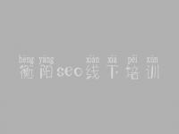 衡阳seo线下培训，网站建设方案平台