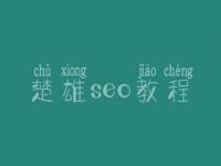 楚雄seo教程，seo职业具体做什么